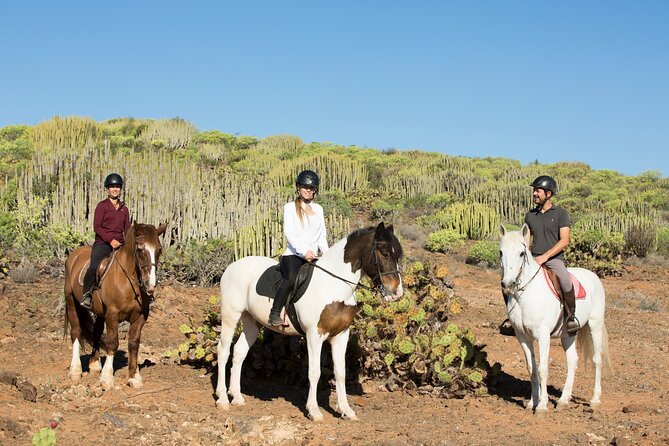 The Best Horse Riding Experience in Gran Canaria (2 hours) - The itinerary in real life: briefing, saddle time, and a big viewpoint