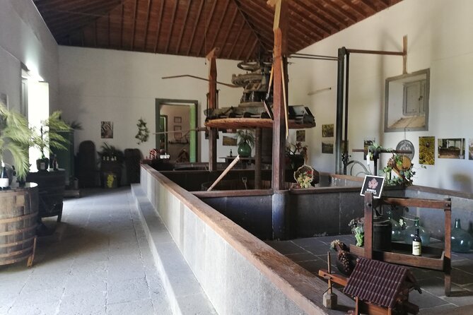 The best of Gran Canaria: 4 Hours Private Cruise Tour - Vegueta in Las Palmas: a guided old-town walk with a wider story