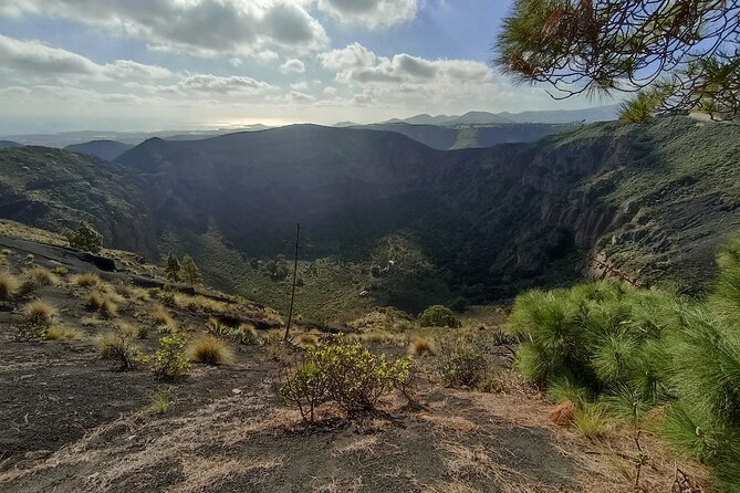 The best of Gran Canaria: 4 Hours Private Cruise Tour - Bodega San Juan and the Museo del Vino: tasting the north’s volcanic soils