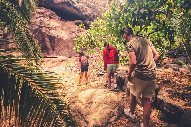 The Red Canyon Tour - Small Group Trip with Local Food Tasting ツ - Transportation, Timing, and What to Do the Day Before