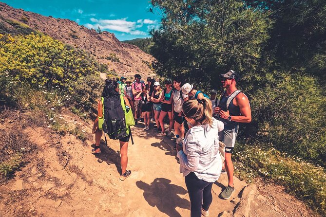 The Volcano Heart Tour: Hiking, Tasting and Sunset Experience - Price and value, why $119.72 can work out well