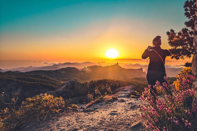 The Volcano Heart Tour: Hiking, Tasting and Sunset Experience - Stop 2: Caldera de Bandama and the contrast that makes volcanic sense