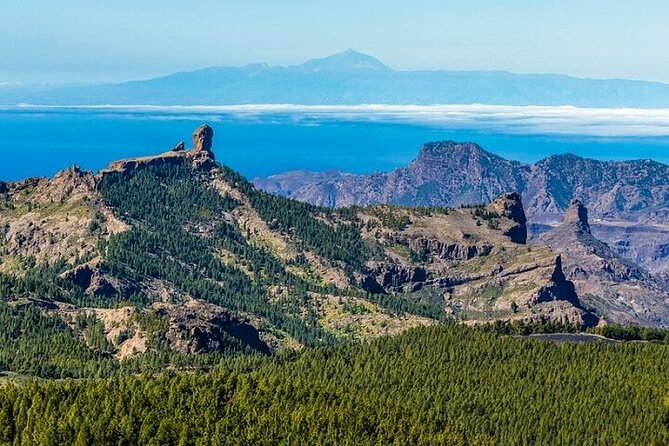 Tour to Arucas, Teror, Aloe Vera farm - Highlights - Inland Gran Canaria, not just the coastline