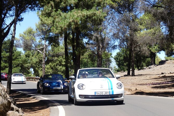 Vw Beetle Convertible Island tour Discover the island on a different way - Why a VW Beetle convertible feels so different on Gran Canaria