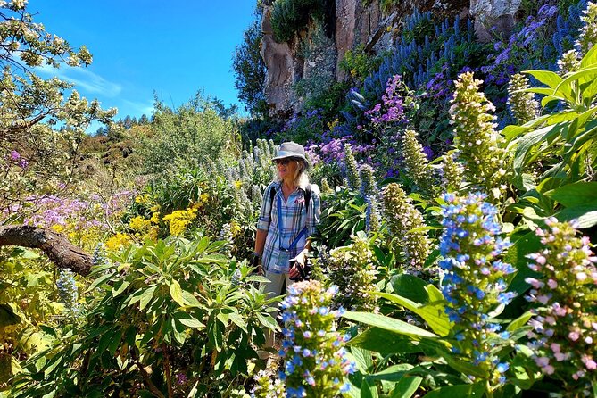Wanderungen im grünen Gran Canaria - Seasonal Blooms, Real-Time Gran Canaria Walking