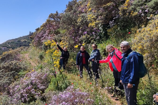Wanderungen im grünen Gran Canaria - Walking Pace, Group Size, and Who This Is For