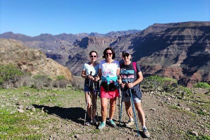 Wanderungen im grünen Gran Canaria - The Hike Itself: Following Blooms Without Making It Feel Mechanical