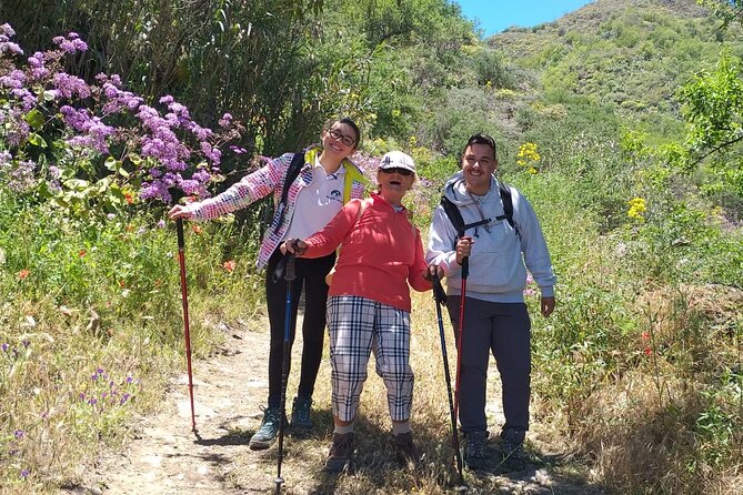 Wanderungen im grünen Gran Canaria - What About Rain or Cloudy Weather?